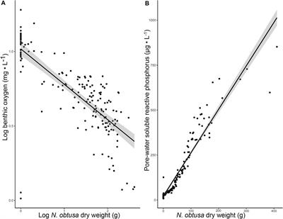 Low Benthic Oxygen and High Internal Phosphorus-Loading are Strongly Associated With the Invasive Macrophyte Nitellopsis obtusa (starry stonewort) in a Large, Polymictic Lake